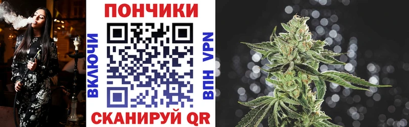Бошки Шишки план Княгинино
